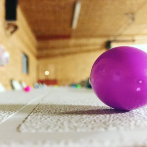 hoppy-augster-590×448